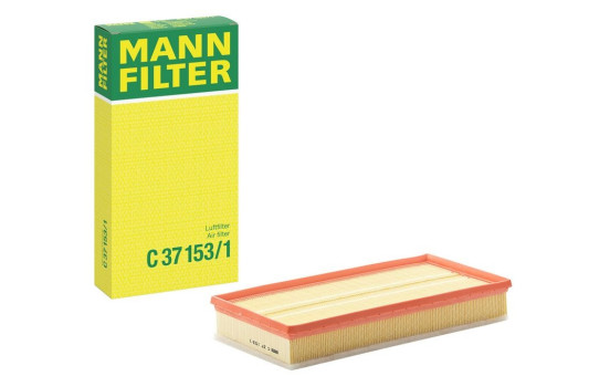 Filtro de aire C 37 153/1 MANN-FILTER, Imagen 4