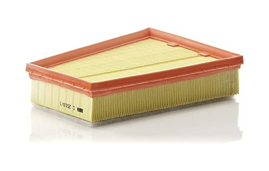 Filtro de aire C2510/1 Mann