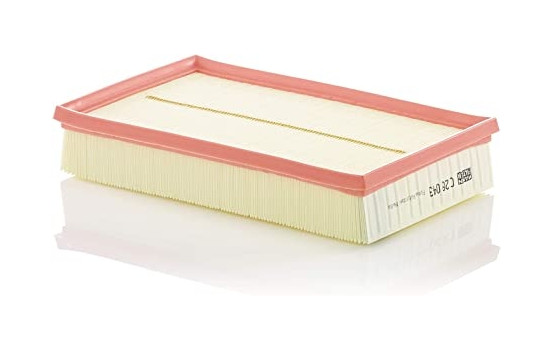 Filtro de aire C28043 Mann
