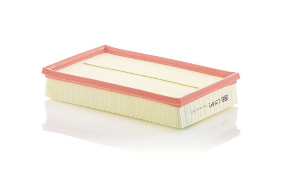 Filtro de aire C28043 Mann, Imagen 2