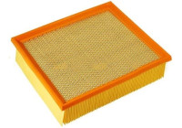 Filtro de aire C30125/1 MANN-FILTER