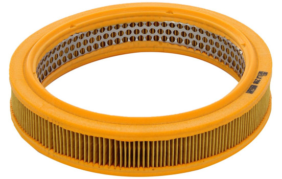 Filtro de aire LX 298 Mahle