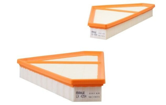 Filtro de aire LX 4254 Mahle, Imagen 2