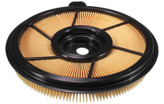 Filtro de aire LX 544 Mahle