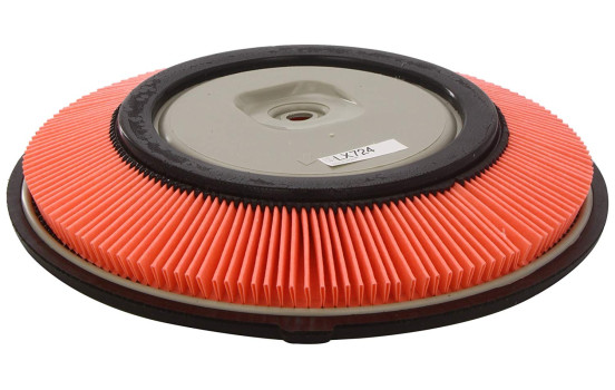 Filtro de aire LX 724 Mahle
