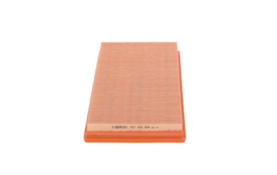 Filtro de aire S9894 Bosch