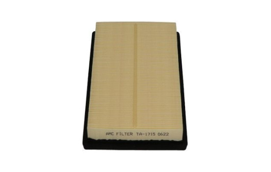 Filtro de aire TA-1715 AMC Filter