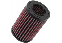 Filtro de repuesto K&N adecuado para MCC Smart (E-9257) K&N