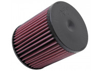 Filtro de repuesto K&N apto para Audi A8 3.0L TDi 2010-2011 (E-2999) K&N