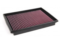 Filtro de repuesto K&N apto para BMW E46 (33-2231) K&N