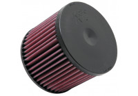 Filtro de repuesto K&N compatible con Audi A8 Quattro 4.2 V8 2010- (E-1996) K&N