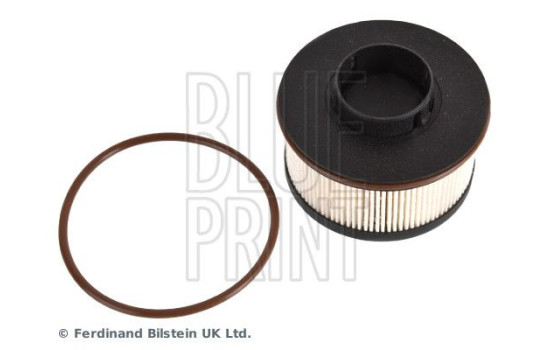 Filtro de combustible ADBP230010 Blue Print, Imagen 3