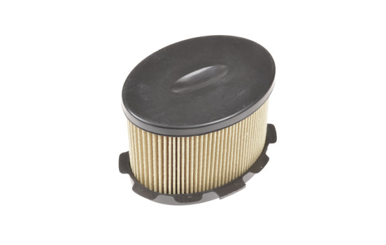 Filtro de combustible ADT32370 Blue Print, Imagen 2