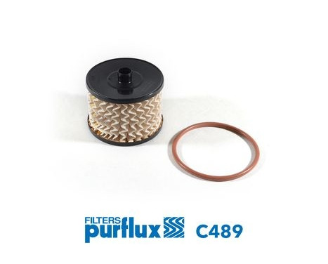 Filtro de combustible C489 Purflux