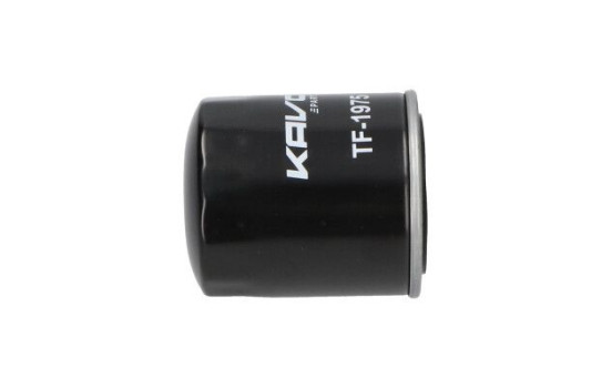 Filtro de combustible TF-1975 AMC Filter, Imagen 5
