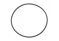 Junta, filtro de combustible