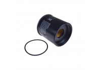 Filtro de combustible ADA102305 Blue Print