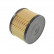 Filtro de combustible ADF122301 Blue Print, Miniatura 2