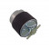 Filtro de combustible ADN12341 Blue Print, Miniatura 2