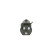 Filtro de combustible N7012 Bosch, Miniatura 4