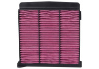 Filtro de aire interior desechable K&N Premium apto para varios modelos Mitsubishi (DVF5051) K&N