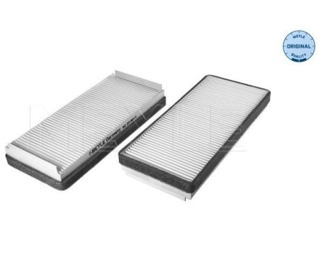 Filtro interior 012 319 0011/S Meyle