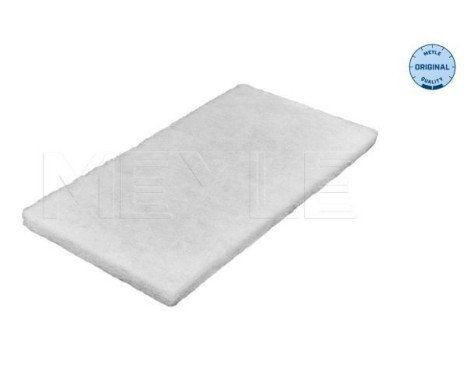 Filtro interior 012 319 0043 Meyle
