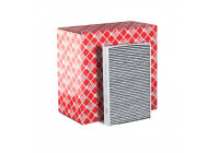 Filtro interior 105703 FEBI