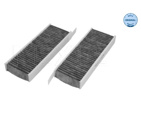 Filtro interior 11-12 320 0016/S Meyle