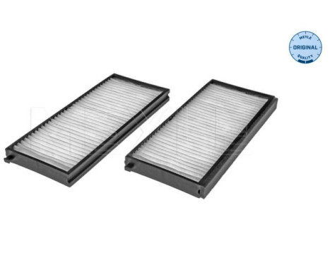 Filtro interior 28-12 319 0008/S Meyle
