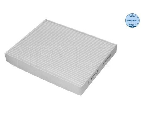 Filtro interior 28-12 319 0011 Meyle