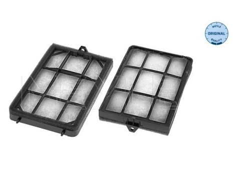 Filtro interior 312 319 0020/S Meyle