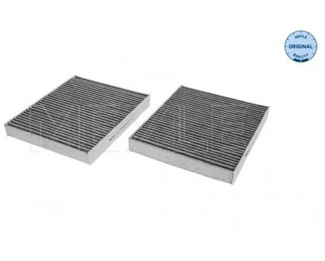 Filtro interior 312 320 0008/S Meyle