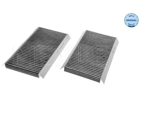 Filtro interior 312 320 0012/S Meyle