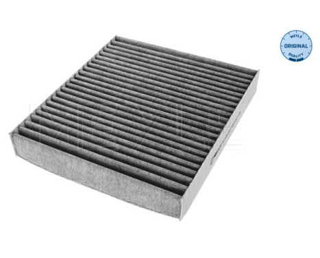 Filtro interior 34-12 320 0001 Meyle