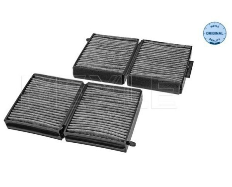 Filtro interior 35-12 320 0001/S Meyle