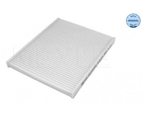 Filtro interior 612 319 0010 Meyle