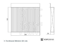 Filtro interior ADBP250163 Blue Print