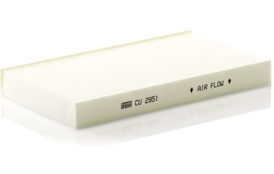 Filtro interior CU 2951 Mann