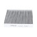 Filtro interior FCA-10019C Kavo parts