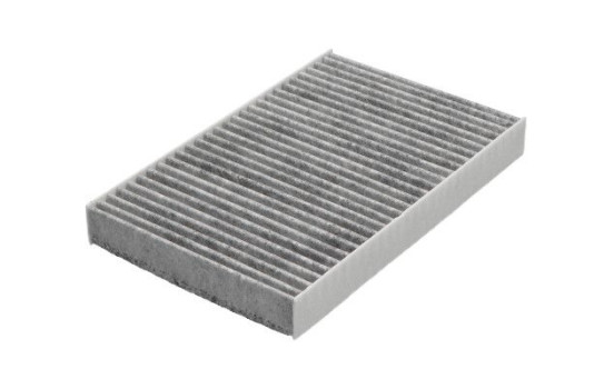 Filtro interior FCA-10027C AMC Filter
