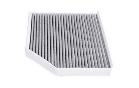 Filtro interior FCA-10177C AMC Filter