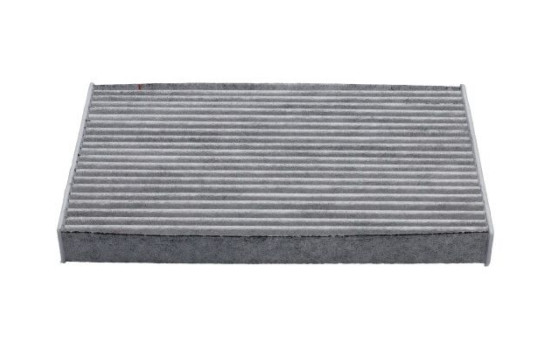 Filtro interior FCA-10509C AMC Filter