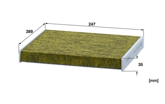 Filtro interior FP 29 010 MANN-FILTER, Imagen 2