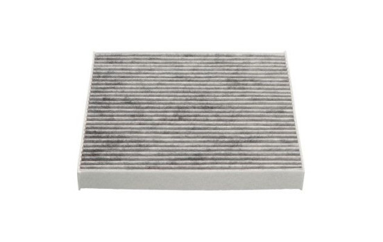 Filtro interior HC-8244C AMC Filter, Imagen 3
