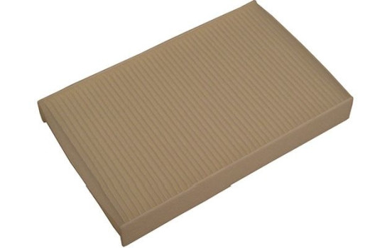 Filtro interior NC-2025 AMC Filter
