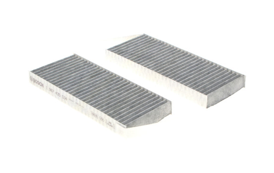 Filtro interior R5534 Bosch