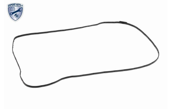 Cárter de aceite de transmisión + filtro V20-0588 VAICO, Imagen 14