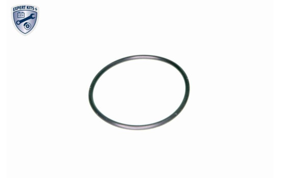 Filtro hidráulico, transmisión automática V10-0440 VAICO, Imagen 2