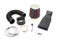 Kit de rendimiento K&N 57i compatible con BMW 318i (57-0393) K&N